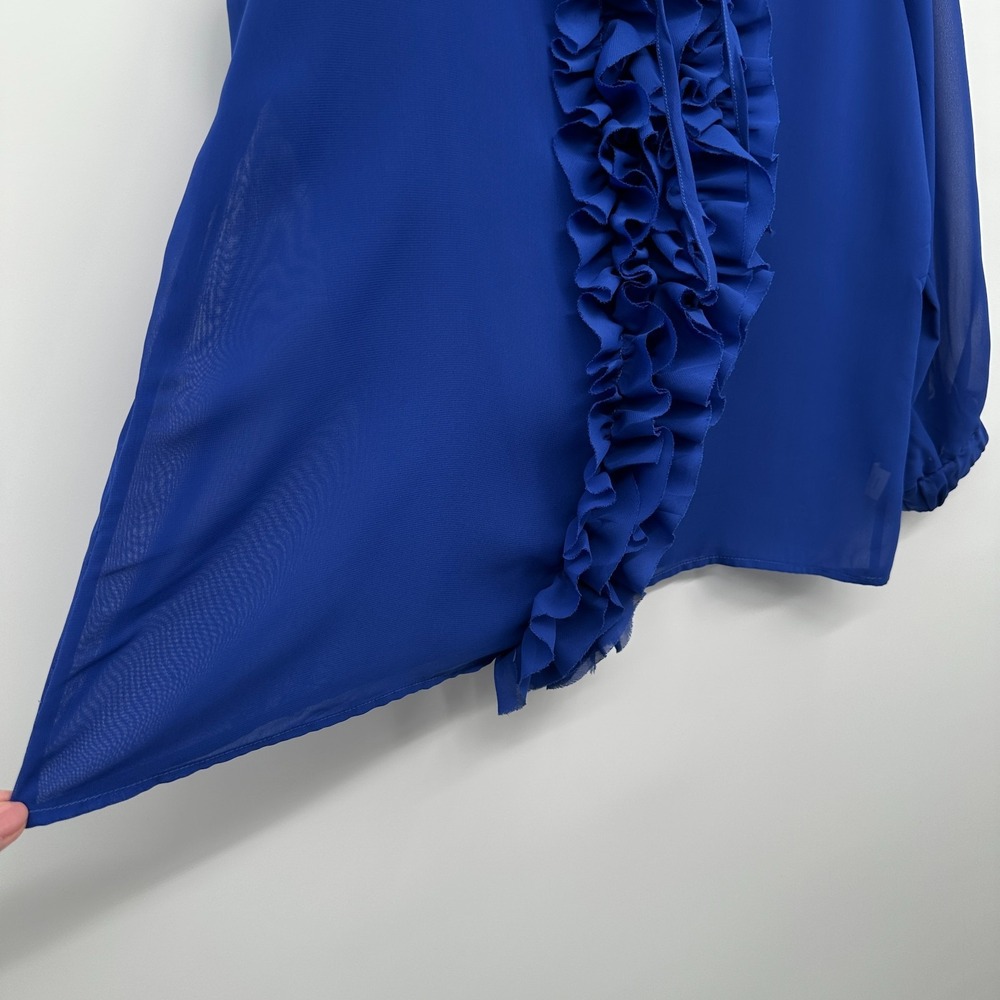 Abby Z Top Shirt Blouse Size 2X Sheer Ruffle Embroidered Coquette Elegant Glam - Picture 8 of 14